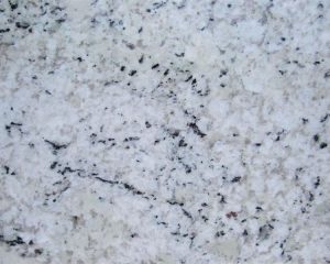 BIANCO DELICATUS